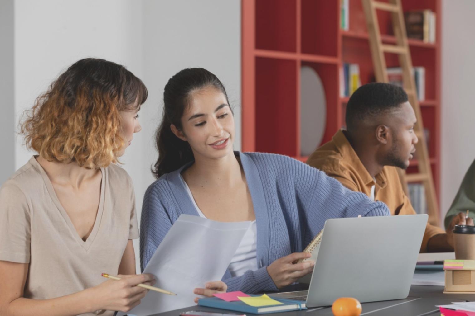 Professional budget consultation environment in Sydney office